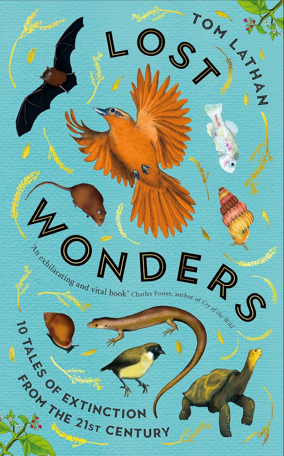 Lost Wonders