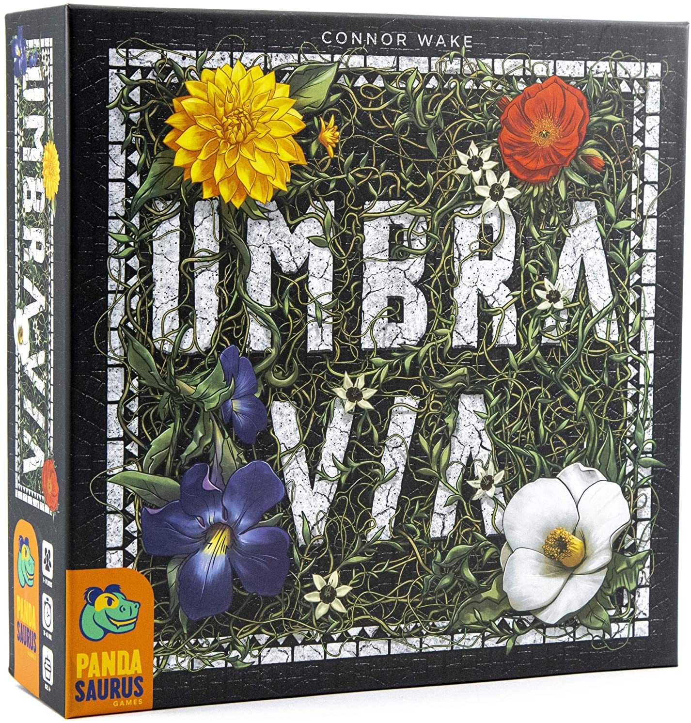 Joc de societate Umbra Via - Abstract