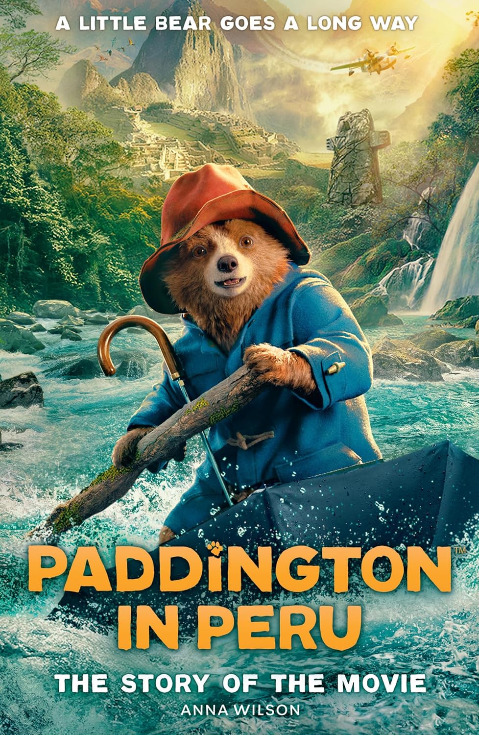 Paddington in Peru