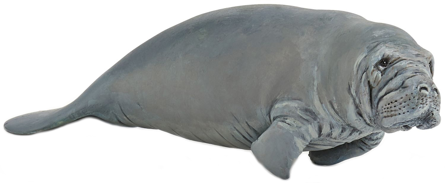 Figurina Papo Marine Life – Lamantin