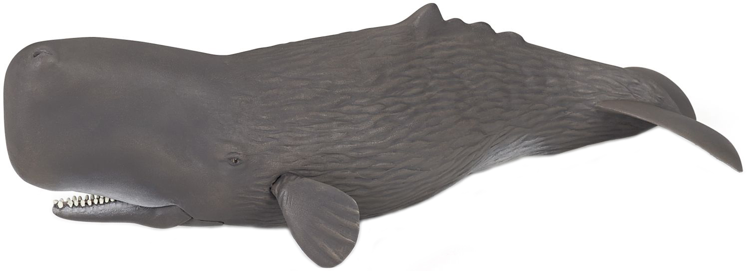 Figurina Papo Marine Life – Casalot