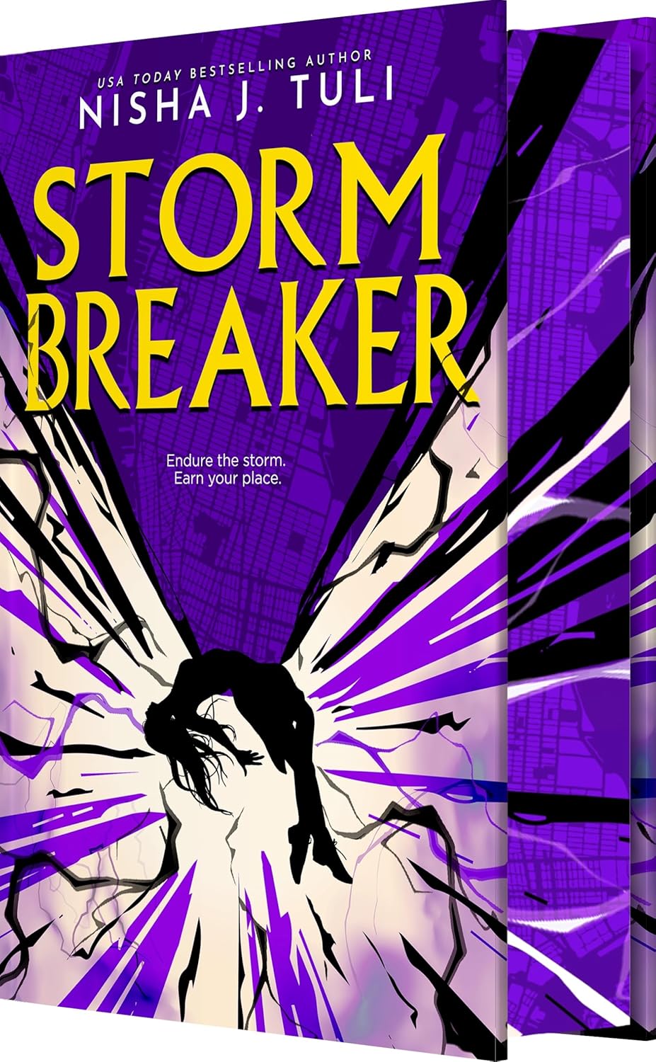 Storm Breaker (Hardcover)