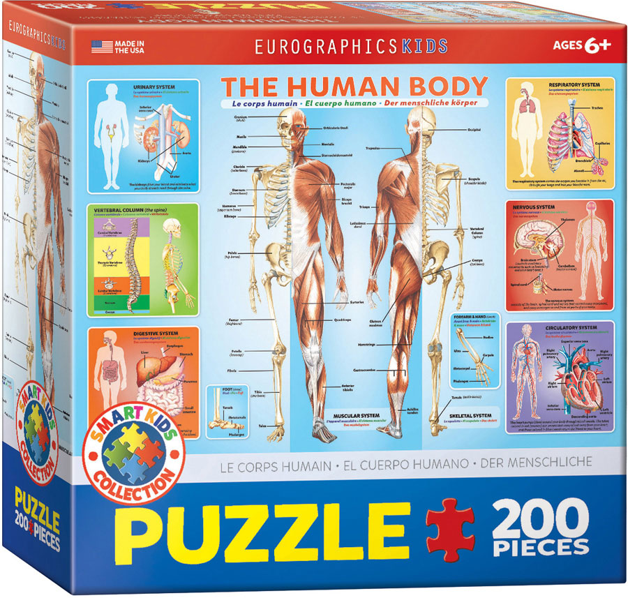 Puzzle Eurographics din 200 de piese - Corp uman