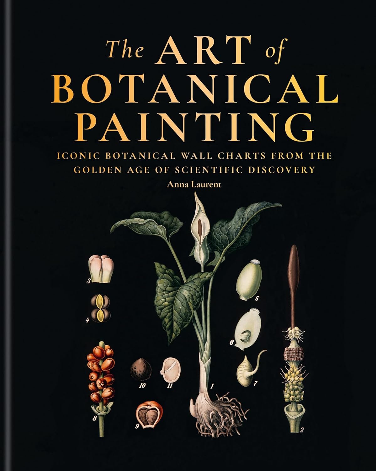 The Art of Botanical Painting