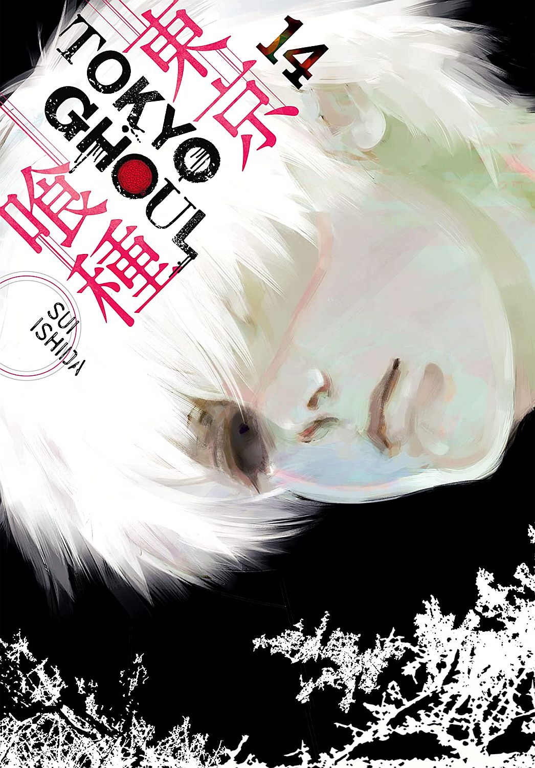 Tokyo Ghoul Vol. 14