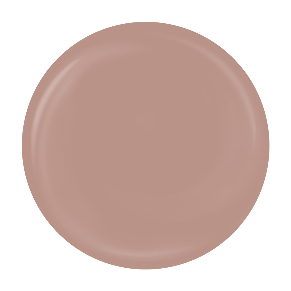Gel Pictura Unghii LUXORISE Perfect Line - Nude, 5ml