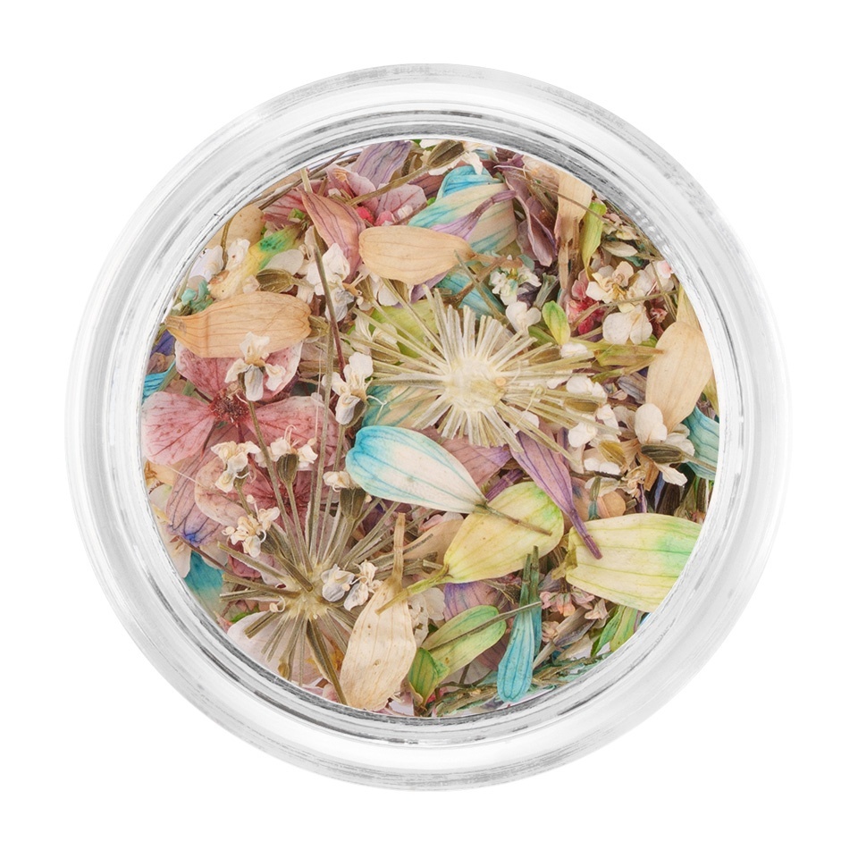 Flori Uscate Unghii LUXORISE - Frozen Spring