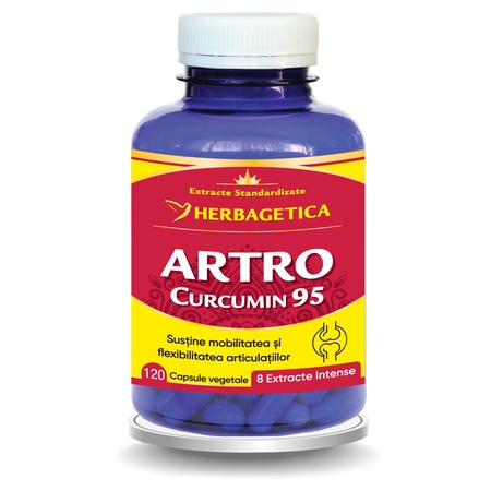 Artro Curcumin 95, 120 capsule, Herbagetica