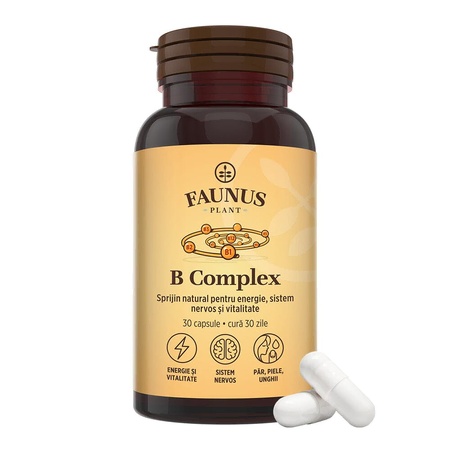Vitamina B Complex, 30 capsule, Faunus