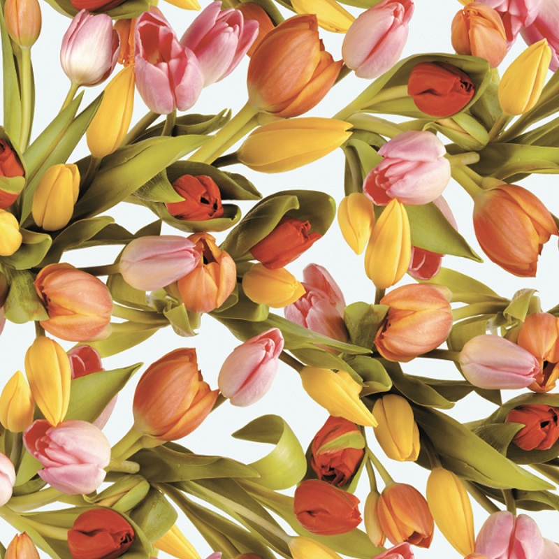 Fata de masa musama Gekkofix Tulips, multicolor, model lalele, PVC, 140cmx20ml, Cod 19218