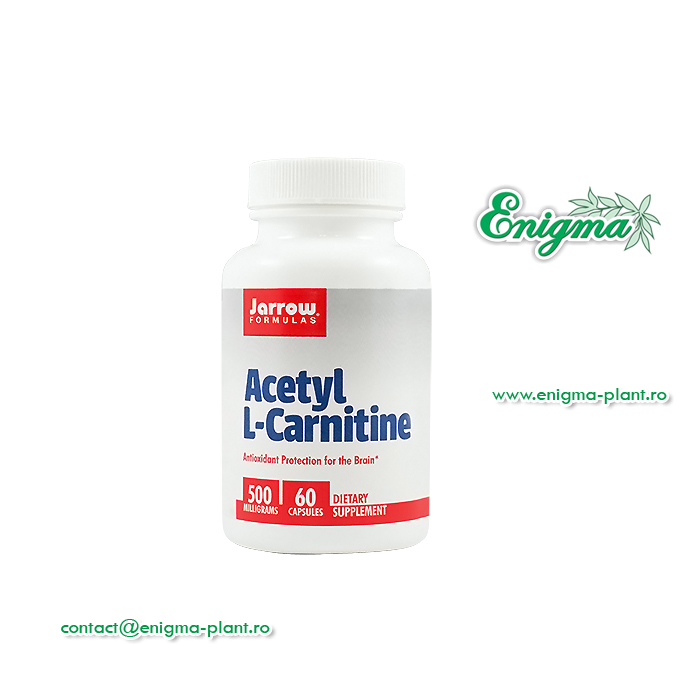 L-Carnitine