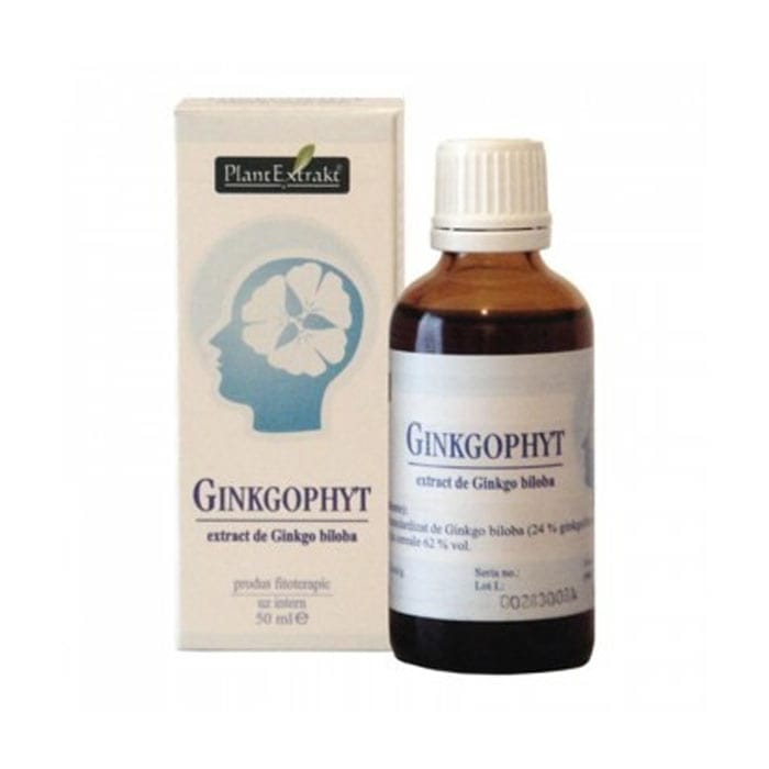Ginkgophyt