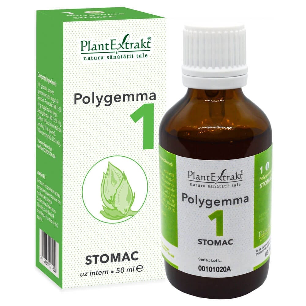 Polygemma 1 - Stomac