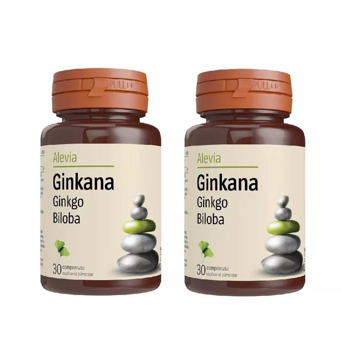 Ginkana Ginkgo Biloba 40mg