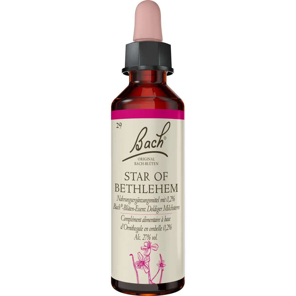 Bachblüten Star of Bethlehem Tropfen 20 ml