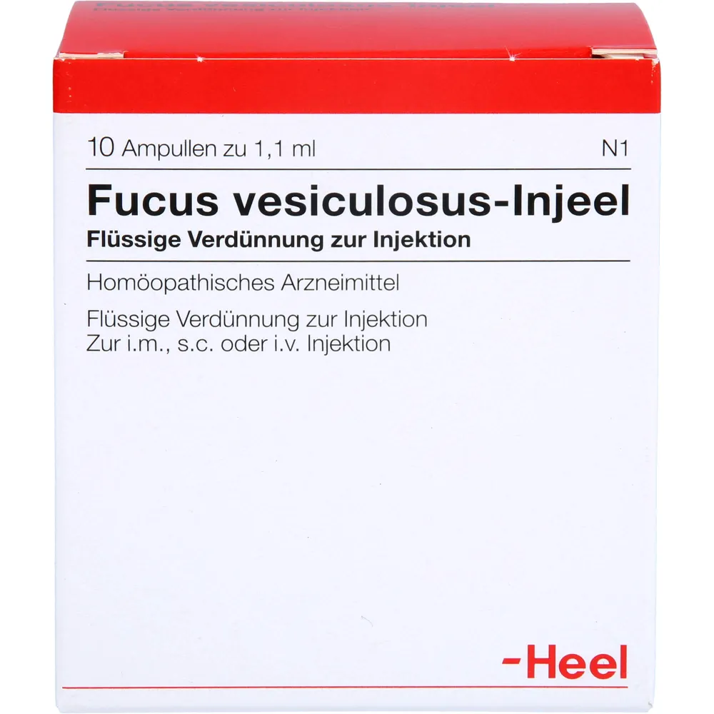 Fucus Vesiculosus Injeel Ampullen 10 St