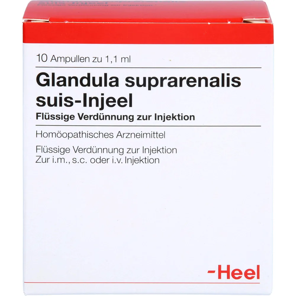 Glandula Suprarenalis suis Injeel Ampullen 10 St