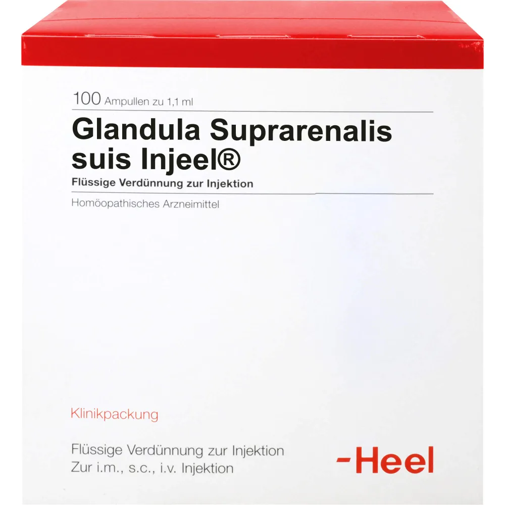 Glandula Suprarenalis suis Injeel Ampullen 100 St