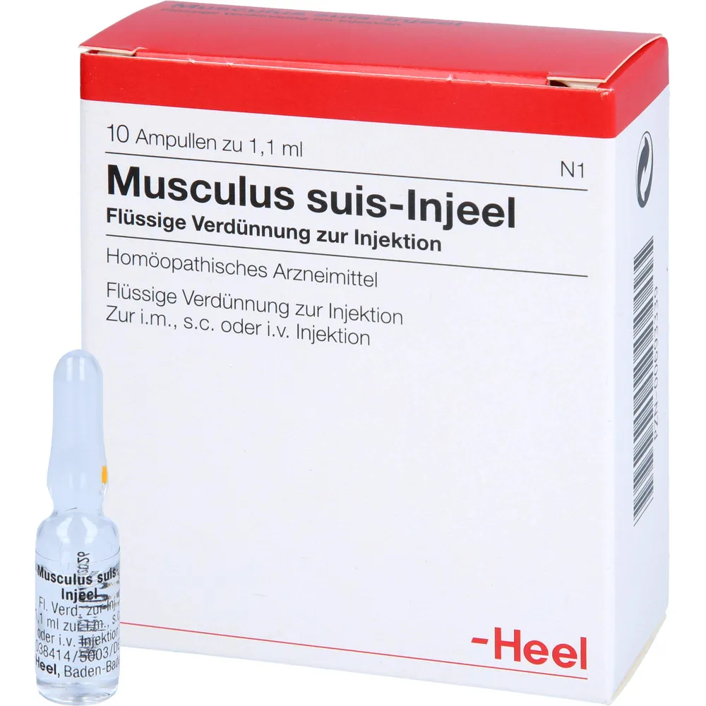 Musculus Suis Injeel Ampullen 10 St