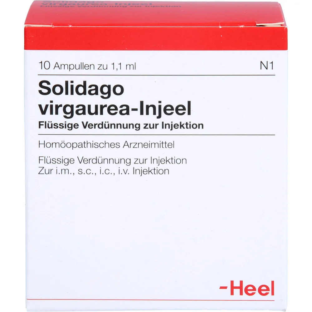 Solidago Virgaurea Injeel Ampullen 10 St