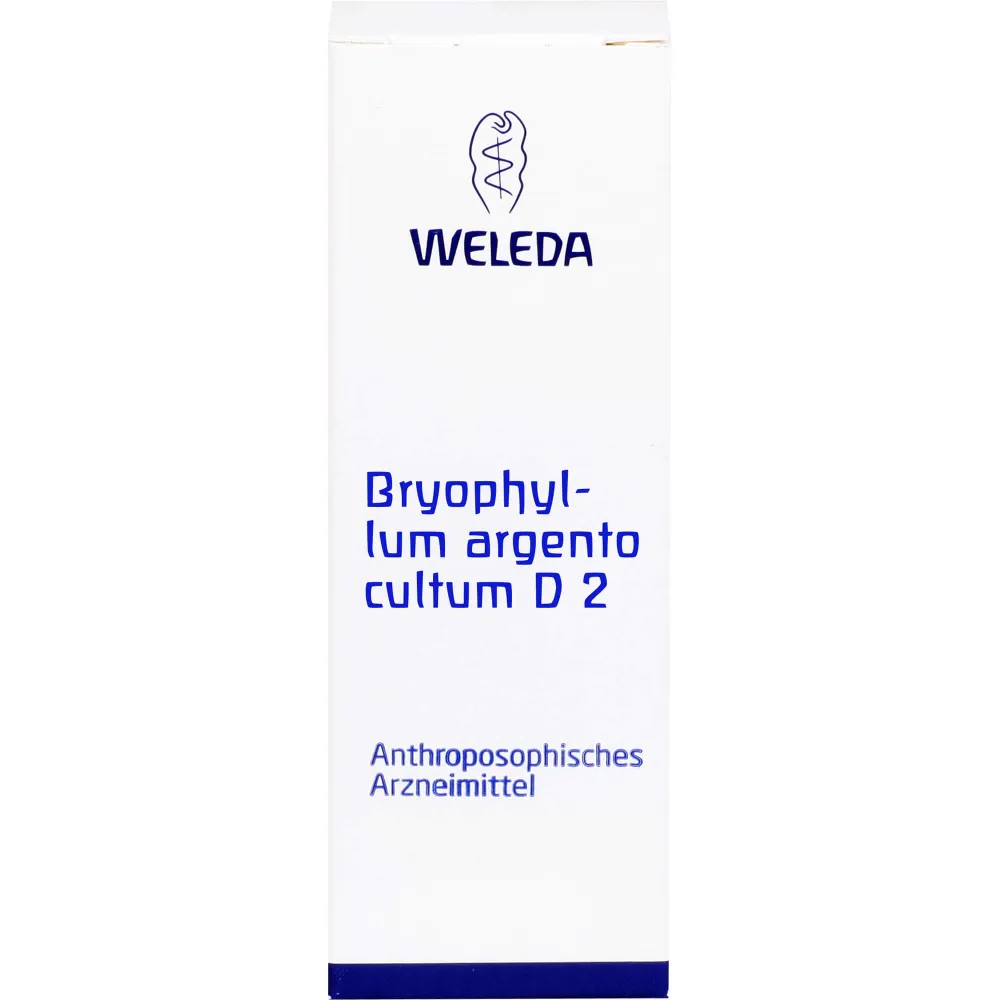 Bryophyllum Argento cultum D 2 Dilution 50 ml