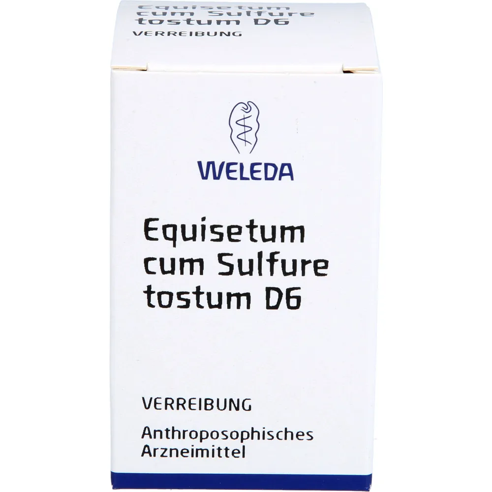 Equisetum Cum Sulfure tostum D 6 Trituration 20 g