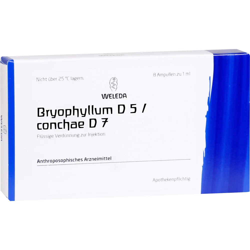 Bryophyllum D 5/Conchae D 7 Ampullen 8 ml