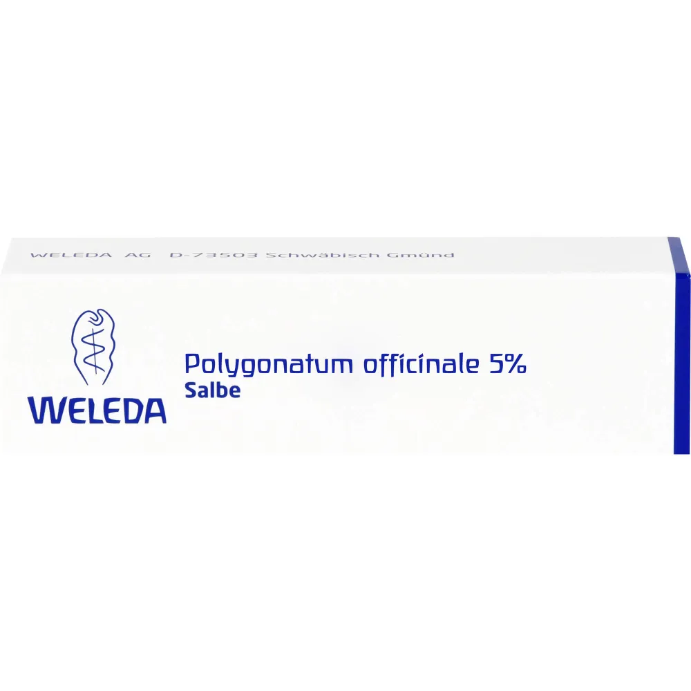Polygonatum Officinale 5% Salbe 25 g