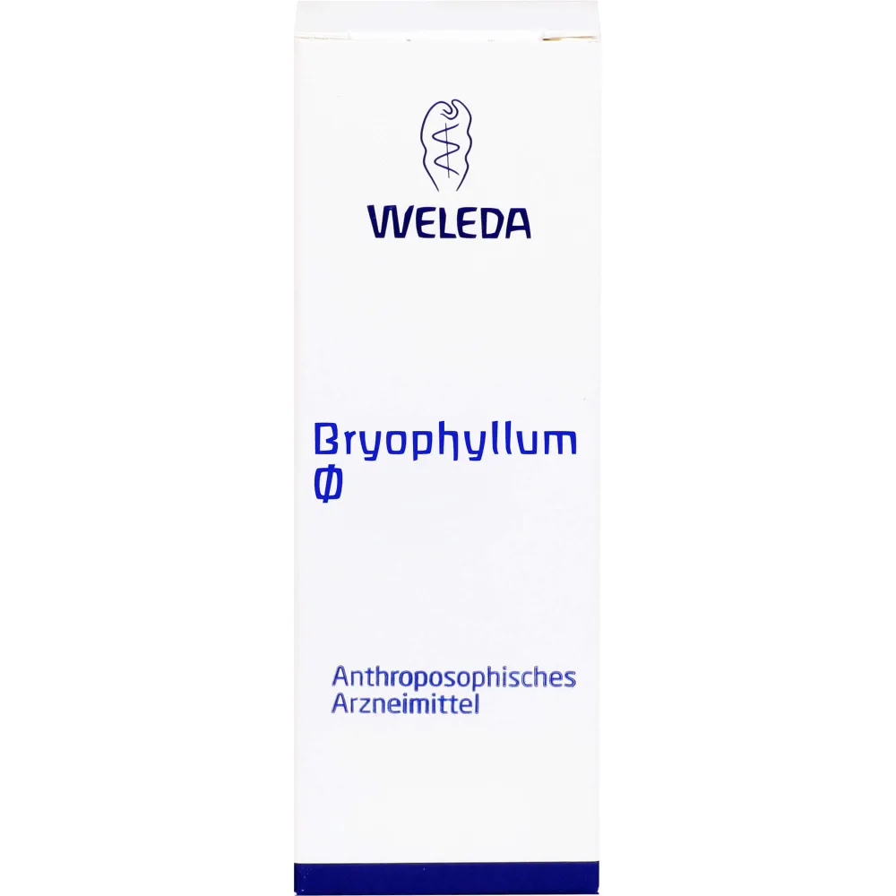 Bryophyllum Urtinktur 50 ml
