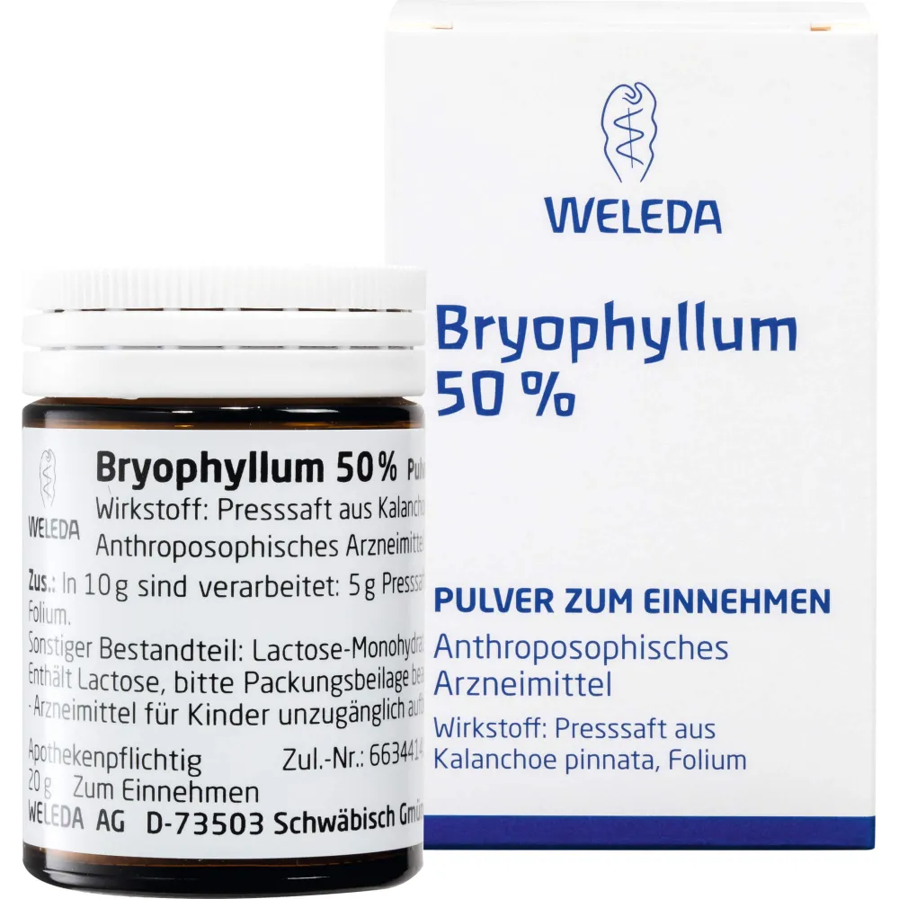 Bryophyllum 50% Pulver zum Einnehmen 50 g