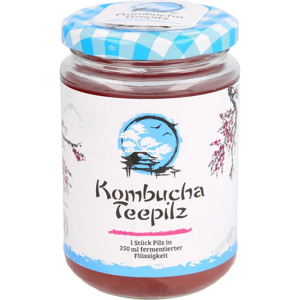 Kombucha Teepilz 1 St