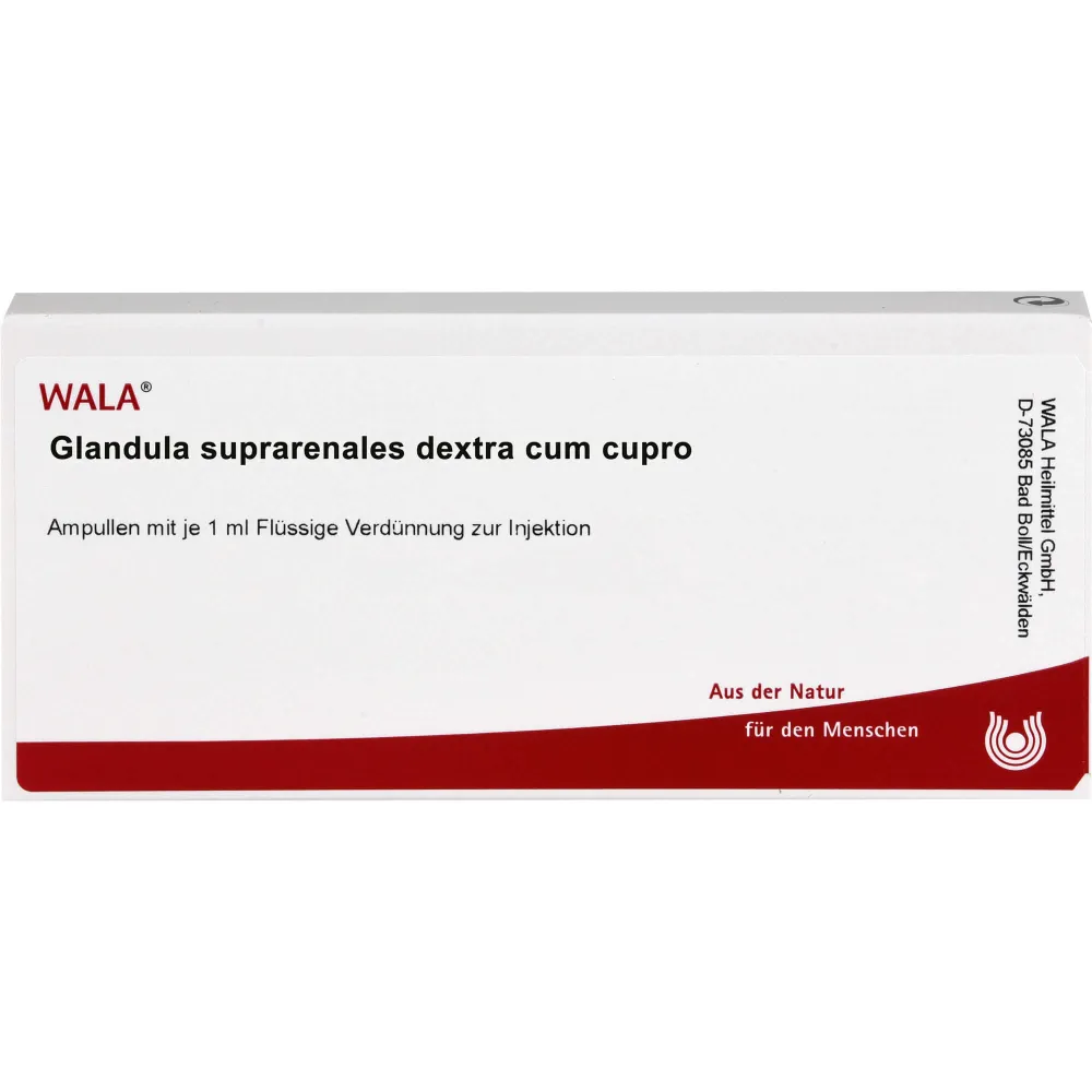 Glandula Suprarenales dextra cum Cupro Ampullen 10 ml
