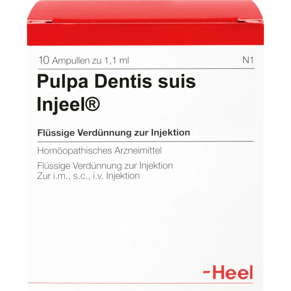 Pulpa Dentis Suis Injeel Ampullen 10 St