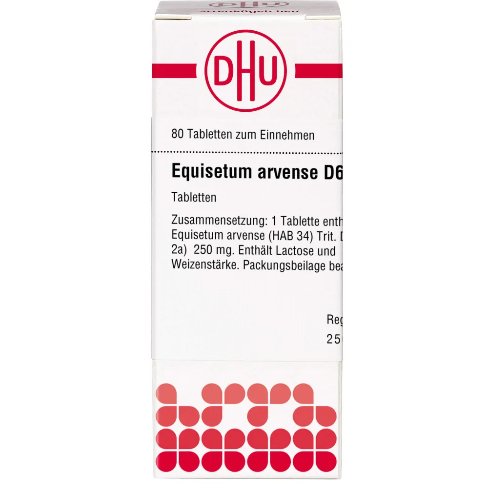 Equisetum Arvense D 6 Tabletten 80 St