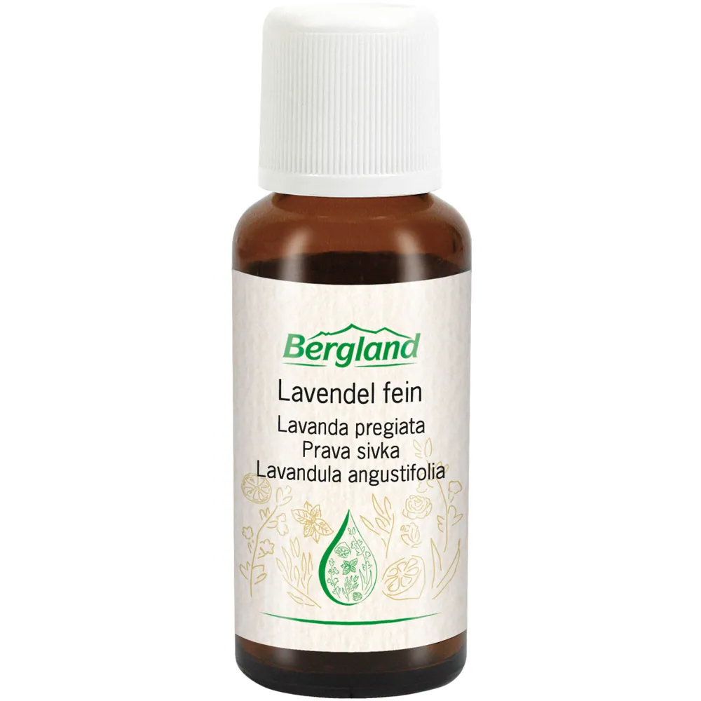 Lavendel Öl fein 30 ml