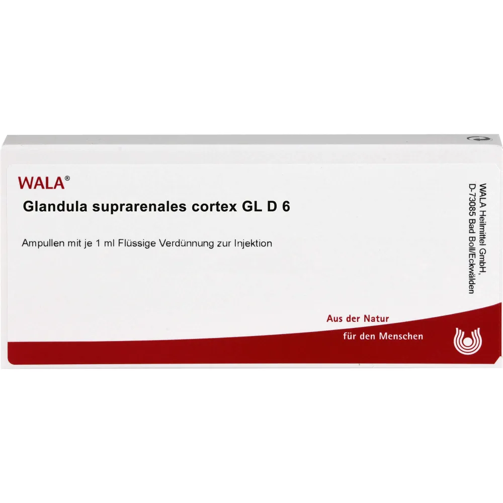 Glandula Suprarenales cortex Gl D 6 Ampullen 10 ml