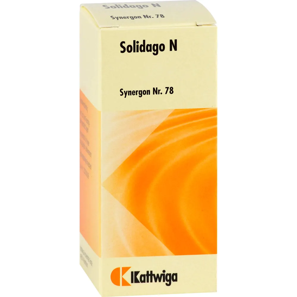 Synergon Komplex 78 Solidago N Tropfen 20 ml