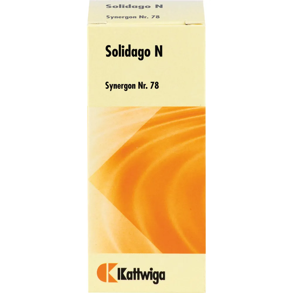 Synergon Komplex 78 Solidago N Tropfen 50 ml