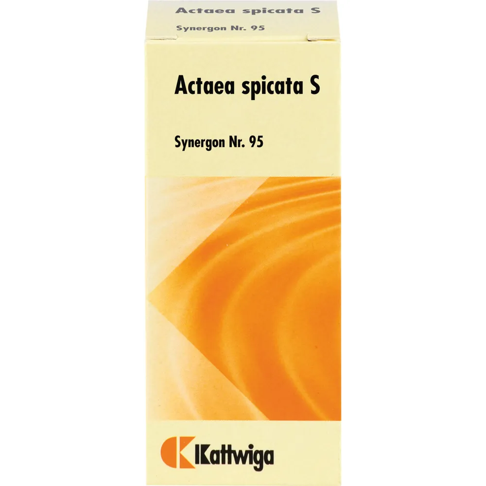 Synergon Komplex 95 Actaea spicata S Tropfen 50 ml
