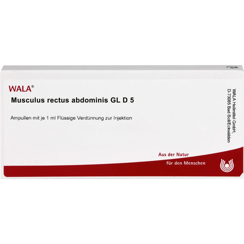 Musculus Rectus abdominis Gl D 5 Ampullen 10 ml