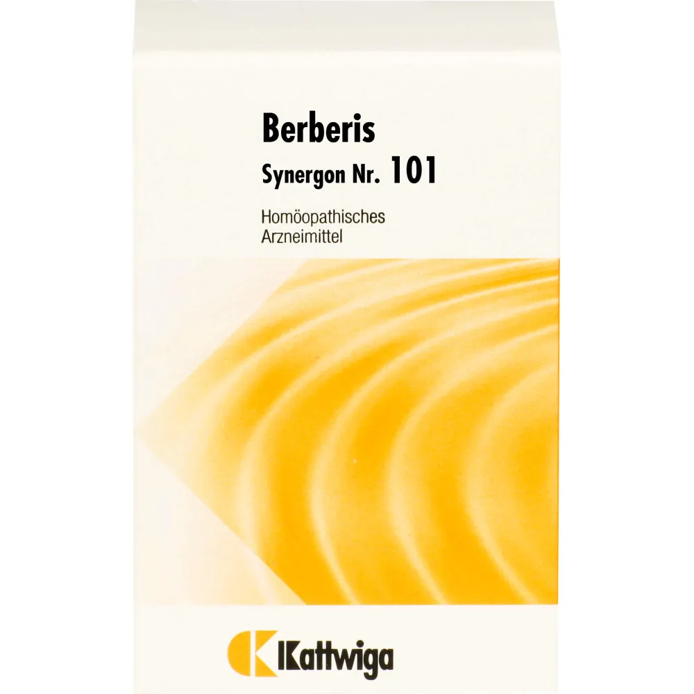Synergon Komplex 101 Berberis Tabletten 200 St