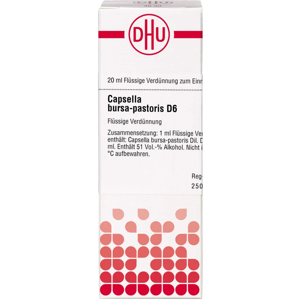 Capsella Bursa pastoris D 6 Dilution 20 ml