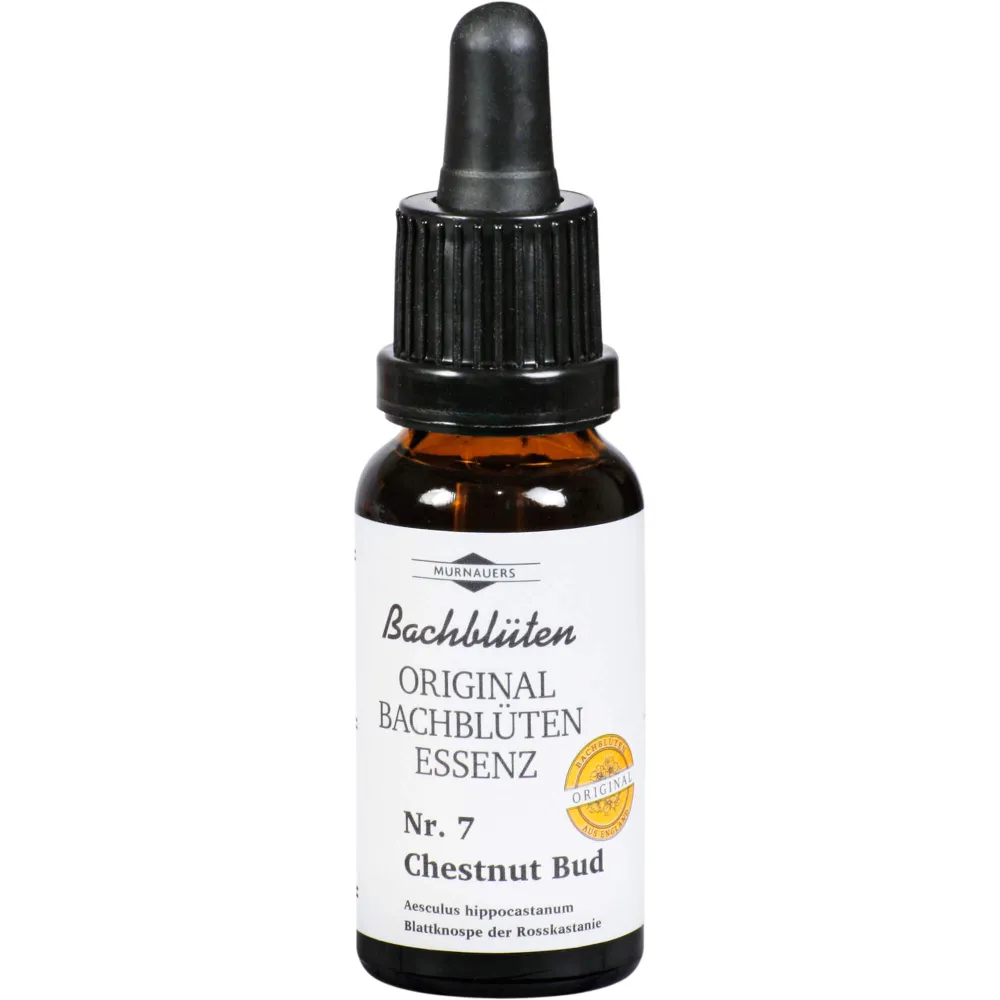Bachblüten Murnauer Chestnut Bud Tropfen 20 ml