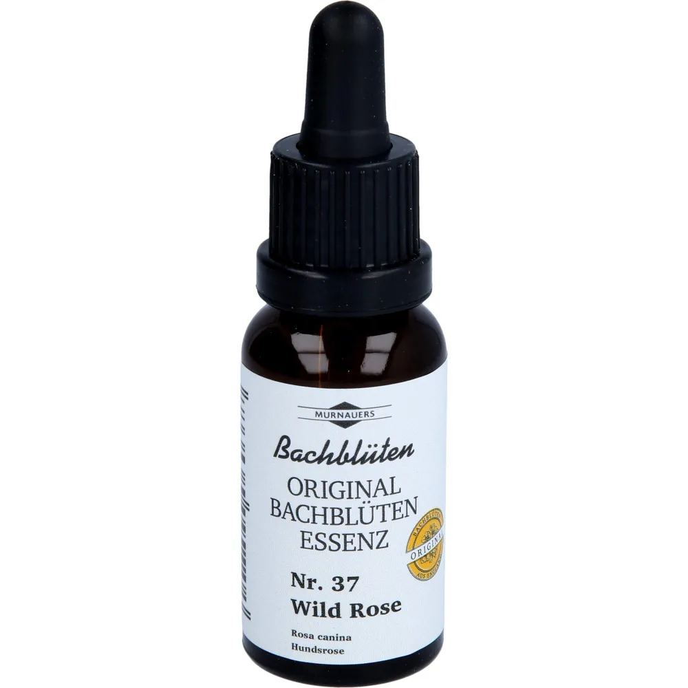 Bachblüten Murnauer Wild Rose Tropfen 20 ml
