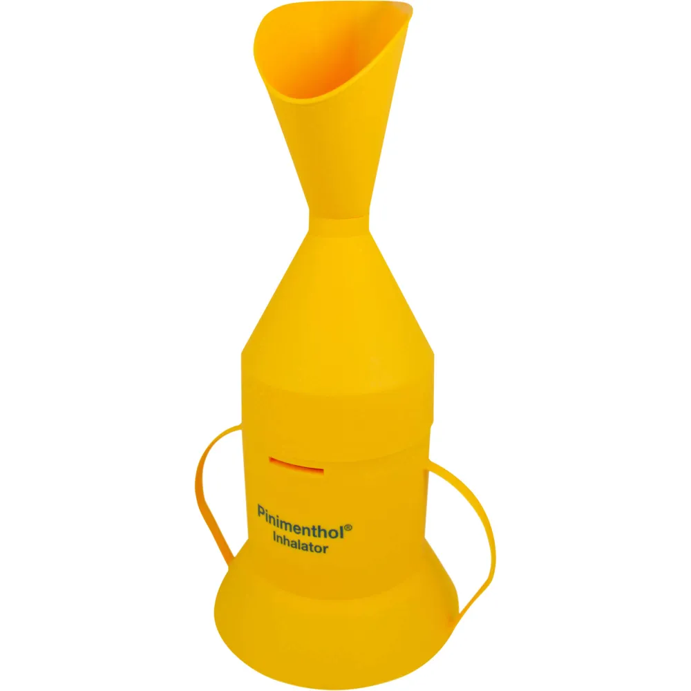 Pinimenthol Inhalator 1 St