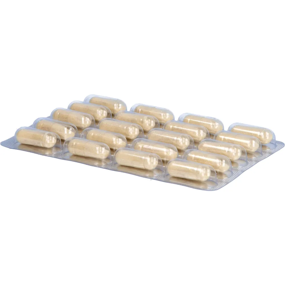 Aminocarin Kapseln 60 St