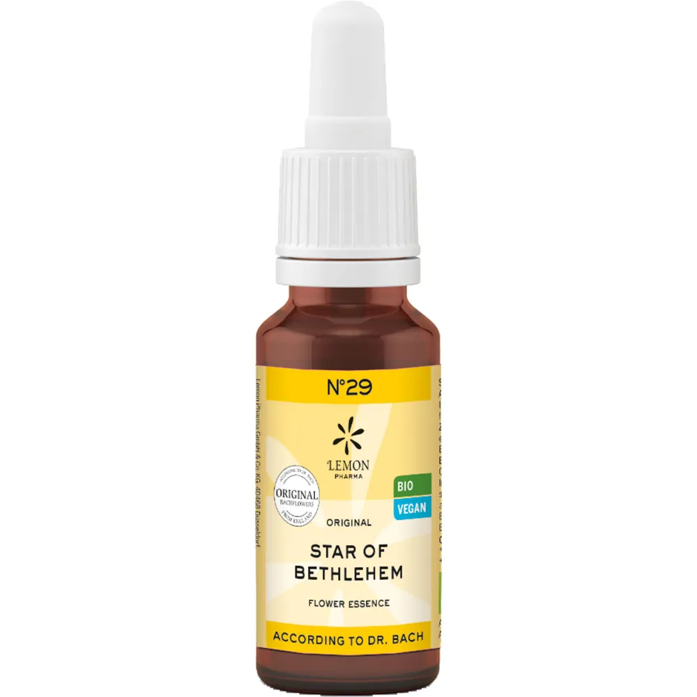 Bachblüten No.29 Star of Bethlehem Bio 20 ml