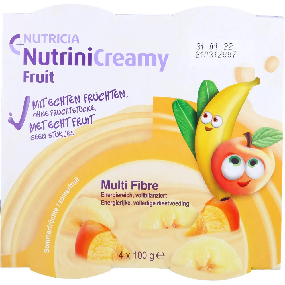 Nutrini Creamy Fruit Sommerfrüchte 4800 g