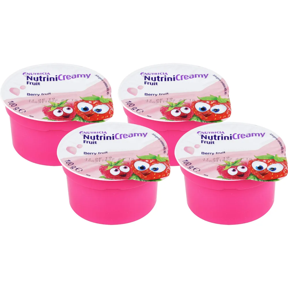 Nutrini Creamy Fruit Beerenfrüchte 400 g