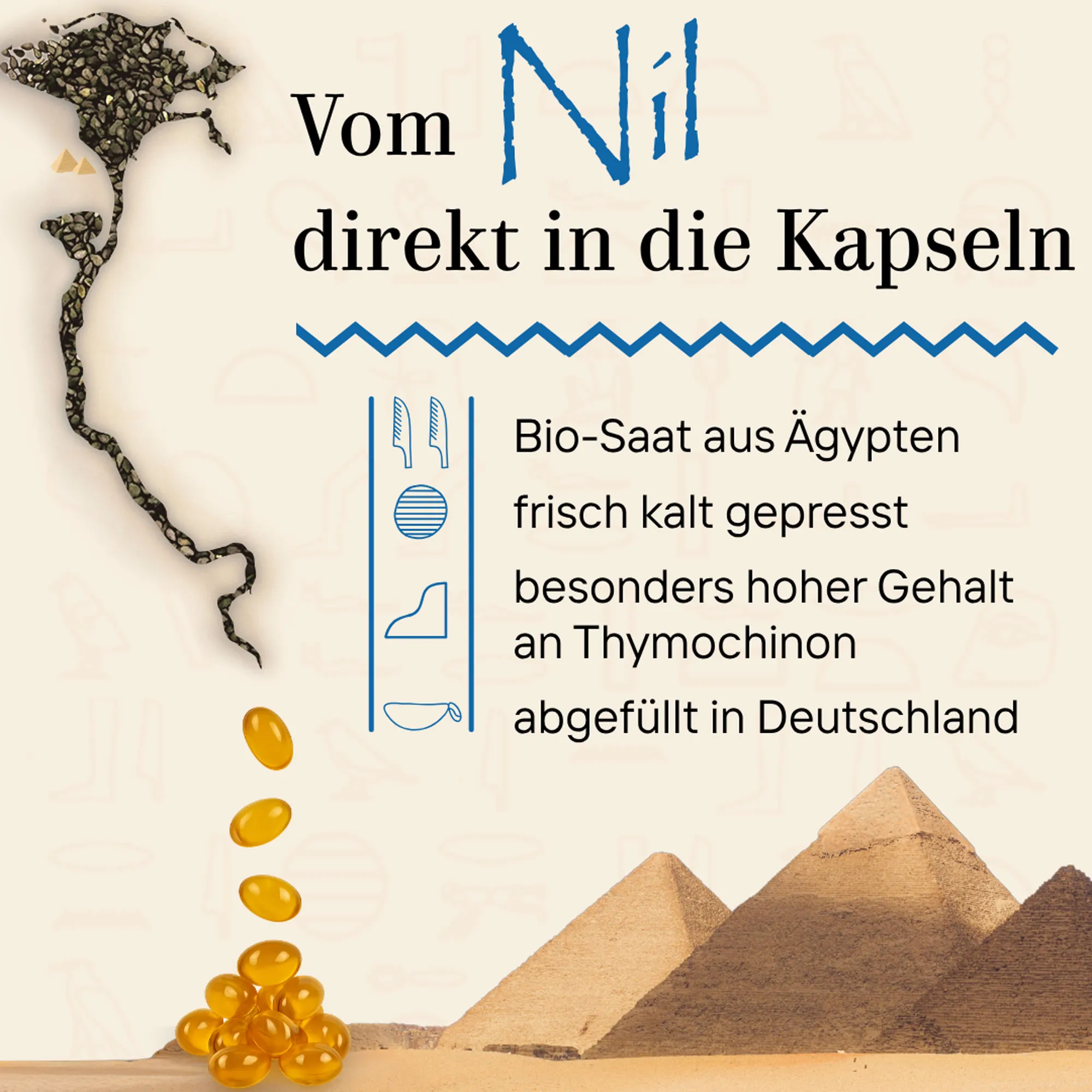 Schwarzkümmel Bio vegan Kapseln 120 St